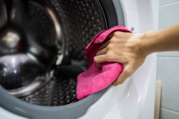 Best Mold Prevention Services  in Pine Ridge, SD