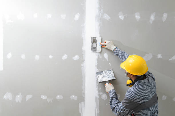 Best Industrial Mold Remediation  in Pine Ridge, SD