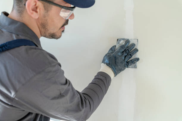 Best Emergency Mold Remediation  in Pine Ridge, SD